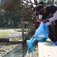 Wakil Bupati Kuningan saat menebar 2 kwintal ikan air tawar di Situ Citamba.